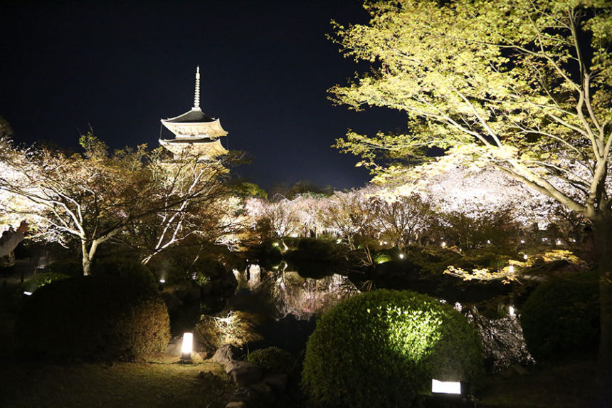 東寺