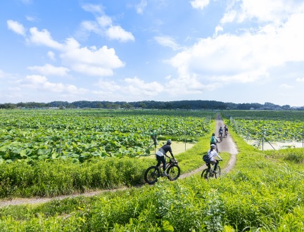 趣味に没頭できる街