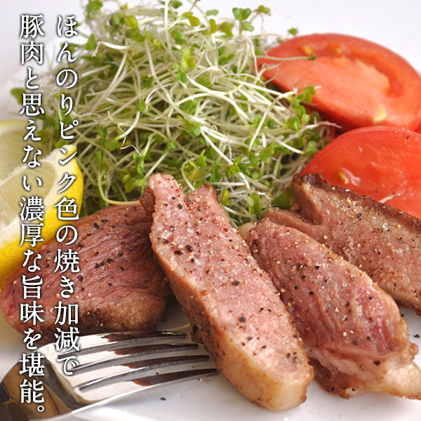 豚肉　スペイン産 イベリコ豚 肩ロース 約１キロ