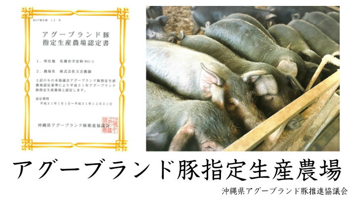 豚肉　又吉アグー豚　しゃぶしゃぶセット