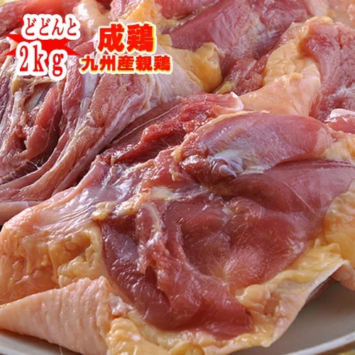 鶏肉【宮崎産・鹿児島産】親鶏もも肉