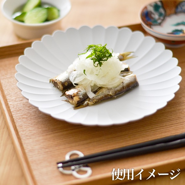  お皿　TY Palace(パレス) 160mm＆220mm