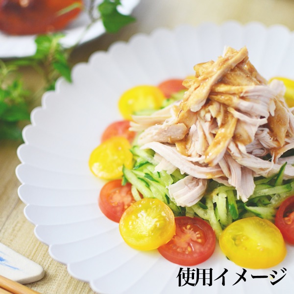  お皿　TY Palace(パレス) 160mm＆220mm