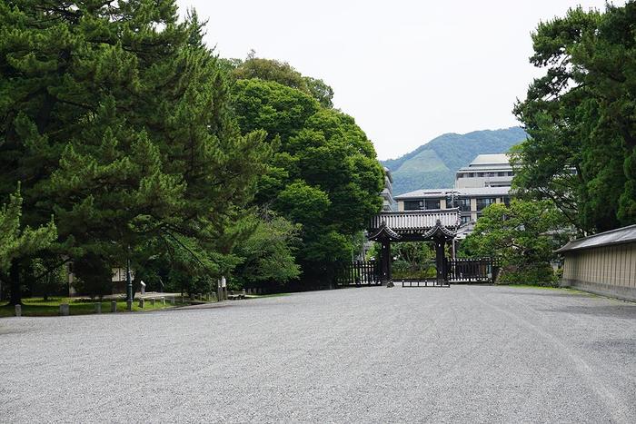 京都御所周辺の閑静な住宅街と豊かな緑の風景