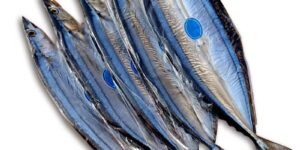 秋刀魚 サンマ 開き 灰干し