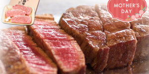 飛騨牛 サーロインステーキ 計500g