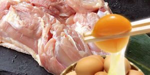 鶏肉 朝引き朝どりセット 水郷どり