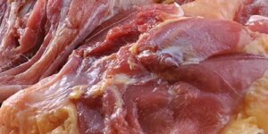 鶏肉【宮崎産・鹿児島産】親鶏もも肉